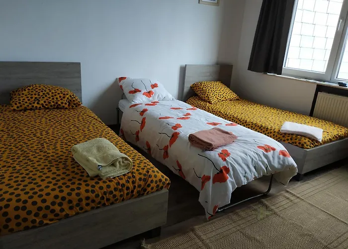 Wonderful Monet Gante